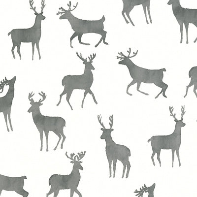 BUCKS - Basalt Black