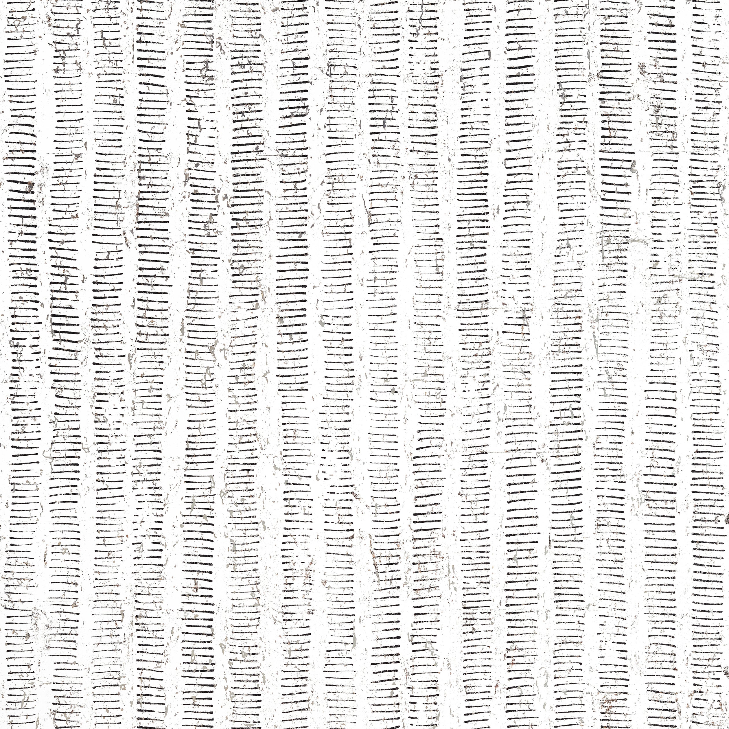 CORK FOREST - Black and White