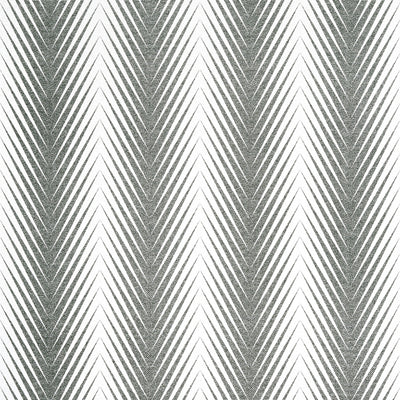 VIVA - Black and White