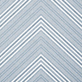ELEVATION - Blue and White