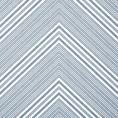 ELEVATION - Blue and White