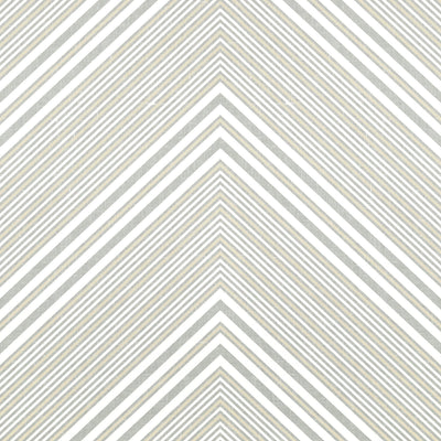 ELEVATION - Grey and White