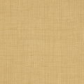 CAROLINA RAFFIA - Straw