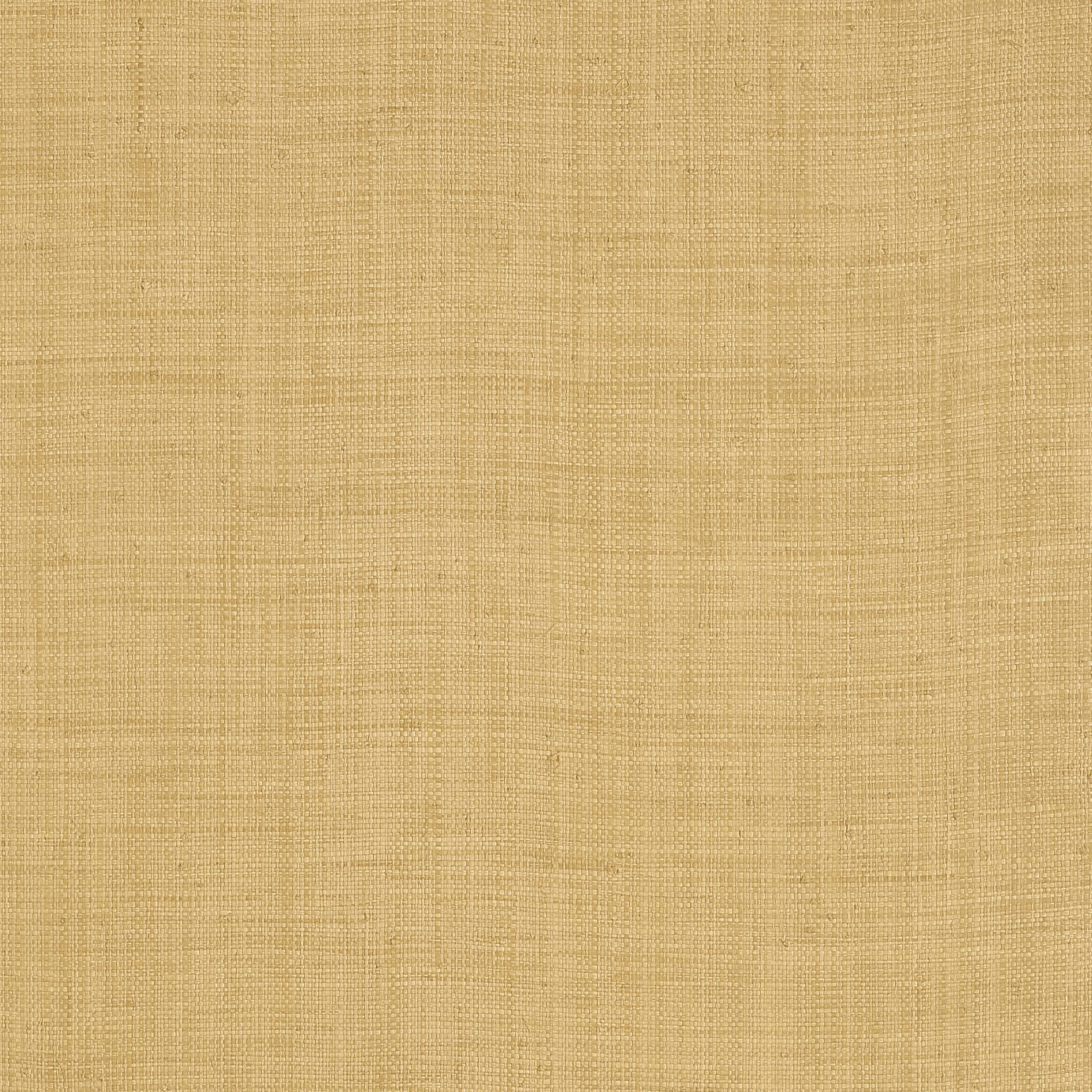 CAROLINA RAFFIA - Straw