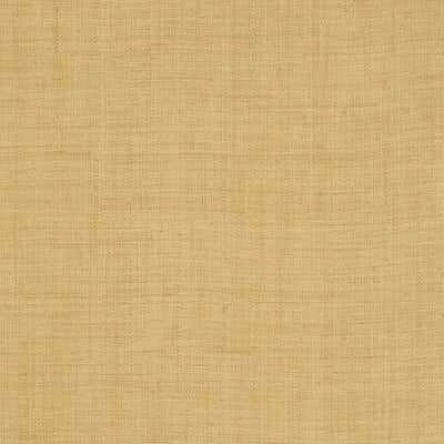 CAROLINA RAFFIA - Straw