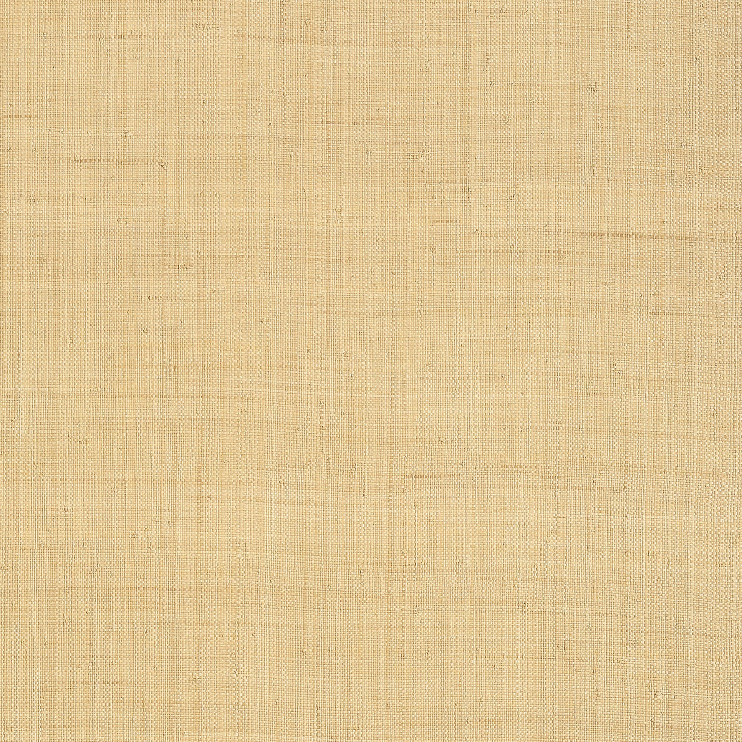 CAROLINA RAFFIA - Natural
