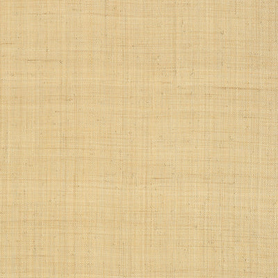 CAROLINA RAFFIA - Natural