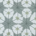 SUNBURST - Grey