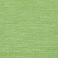 SURFRIDER - Emerald Green
