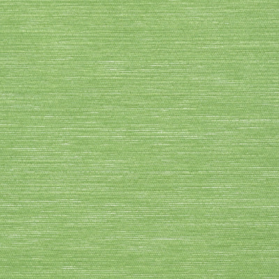 SURFRIDER - Emerald Green