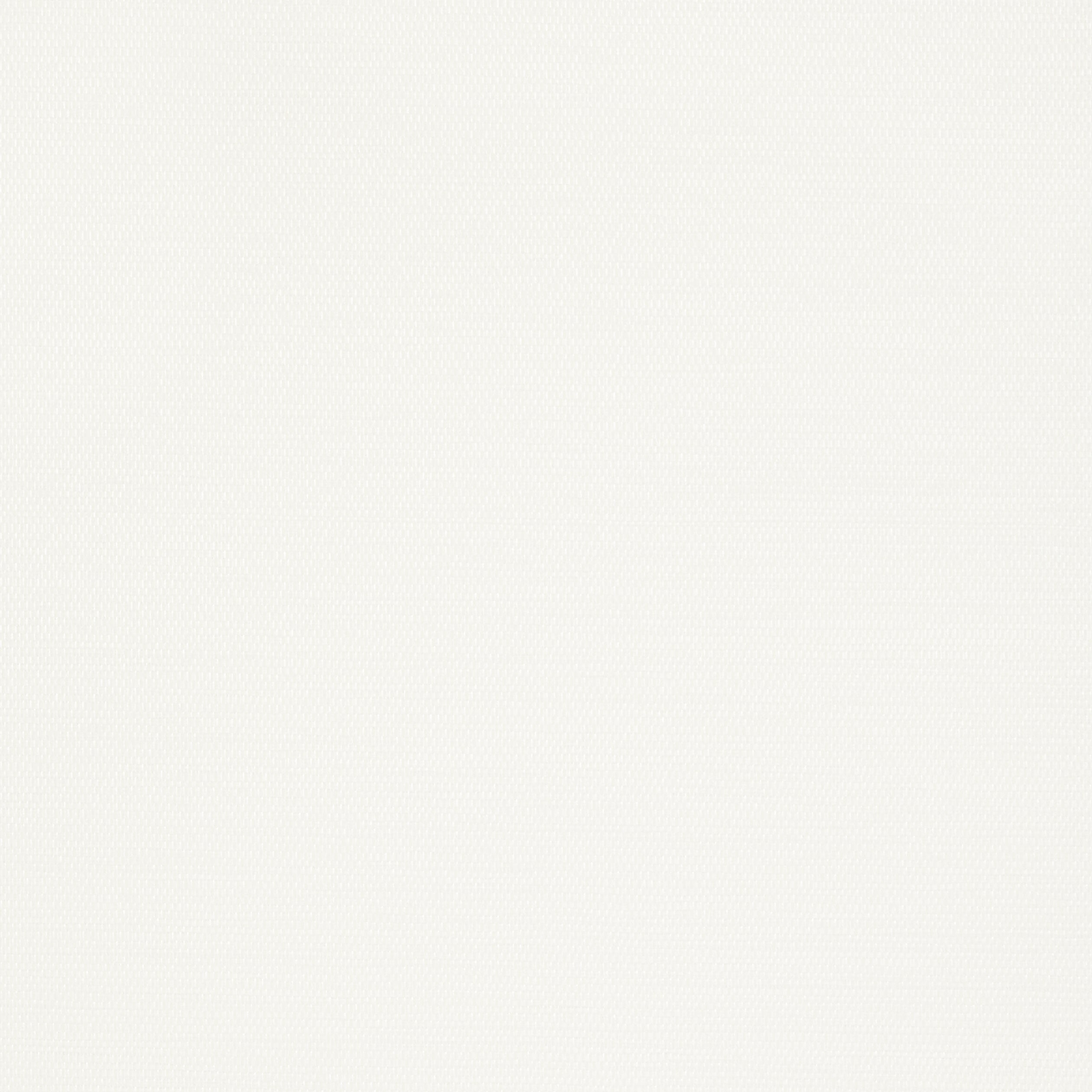 SURFRIDER - White