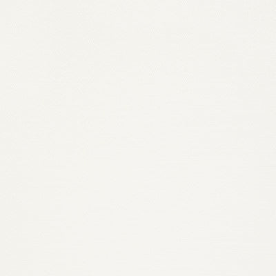 SURFRIDER - White