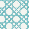 CYRUS CANE - Turquoise