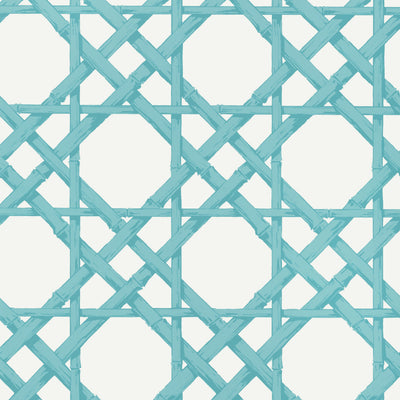 CYRUS CANE - Turquoise
