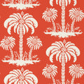 PALM ISLAND - Coral