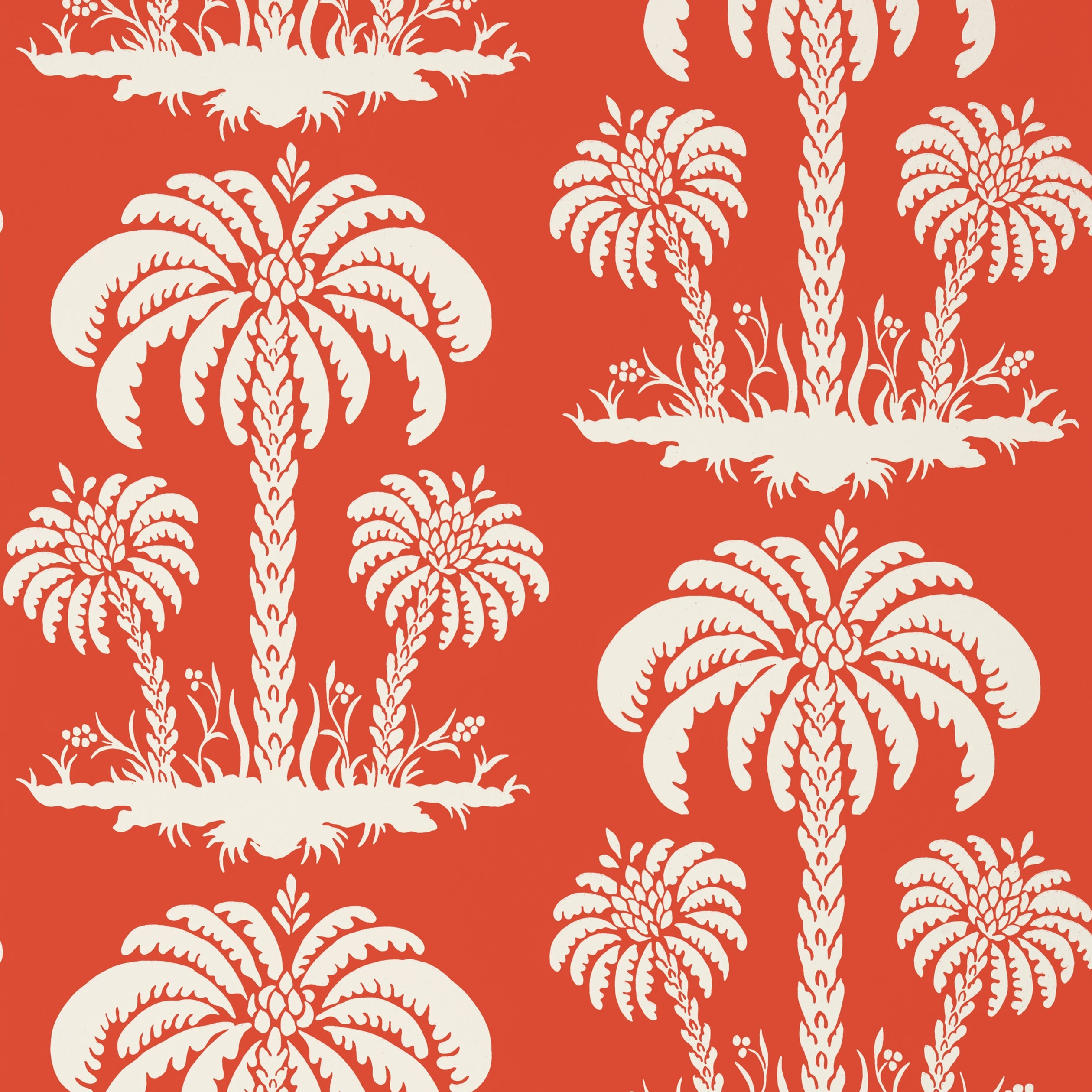 PALM ISLAND - Coral
