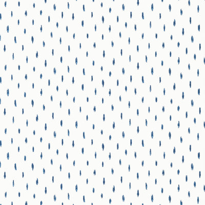 CAYO - Navy