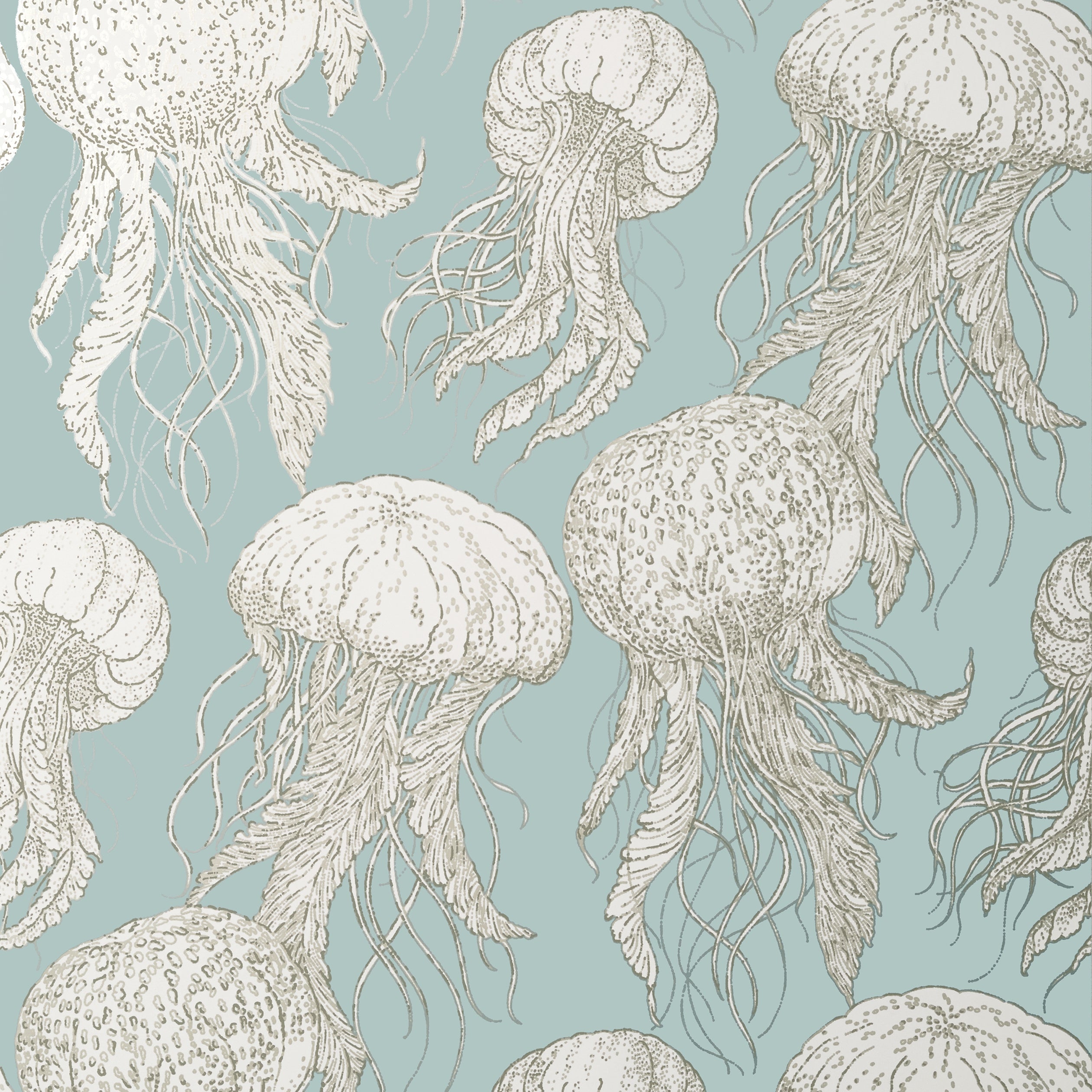 JELLY FISH BLOOM - Aqua