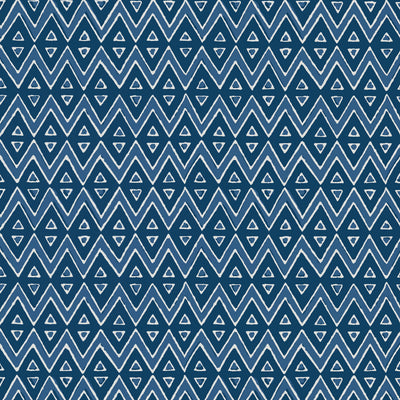 TIBURON - Navy