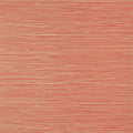 ST. THOMAS - Coral