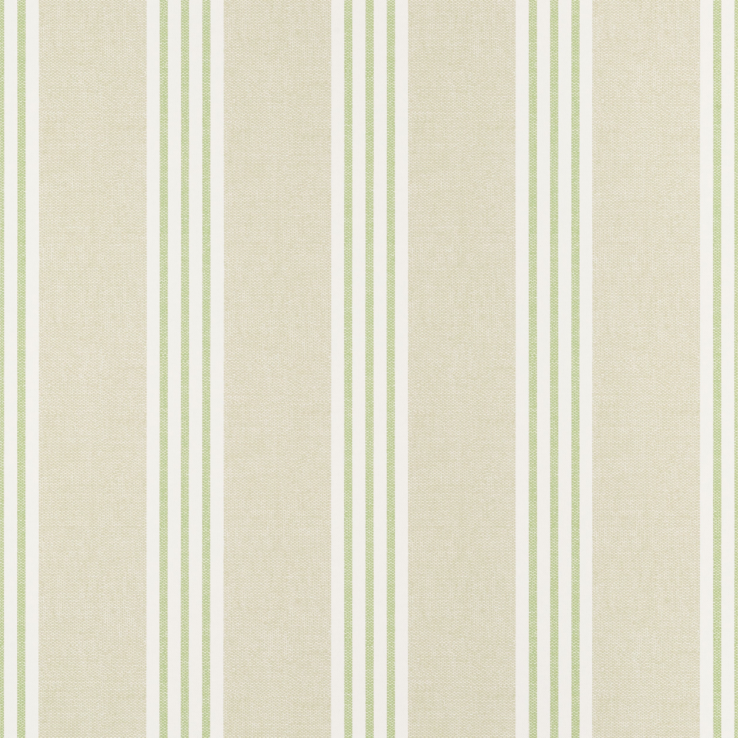 CANVAS STRIPE - Green