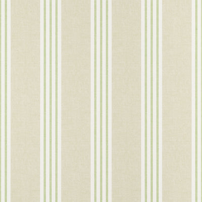CANVAS STRIPE - Green