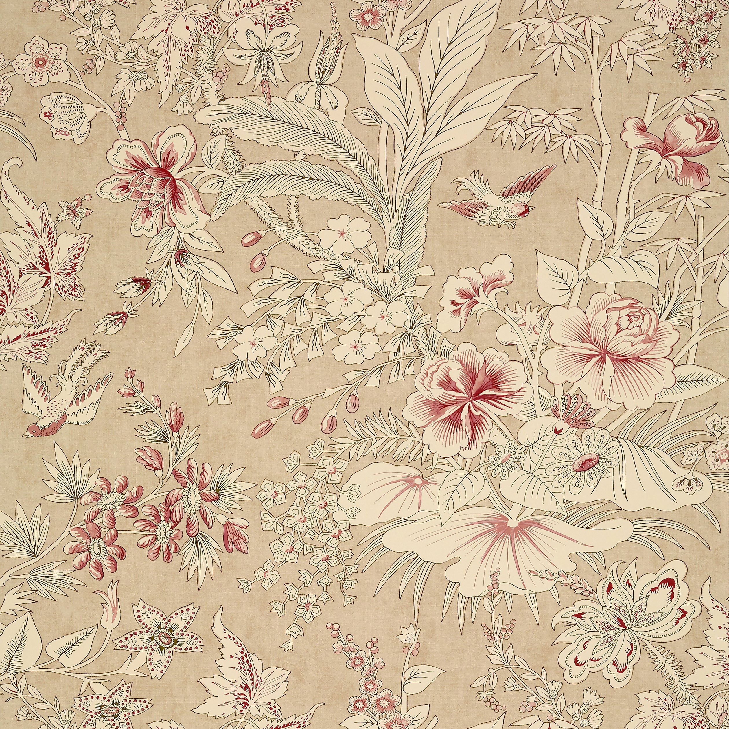 ROSALIND - Beige