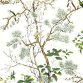 KATSURA - Green and White