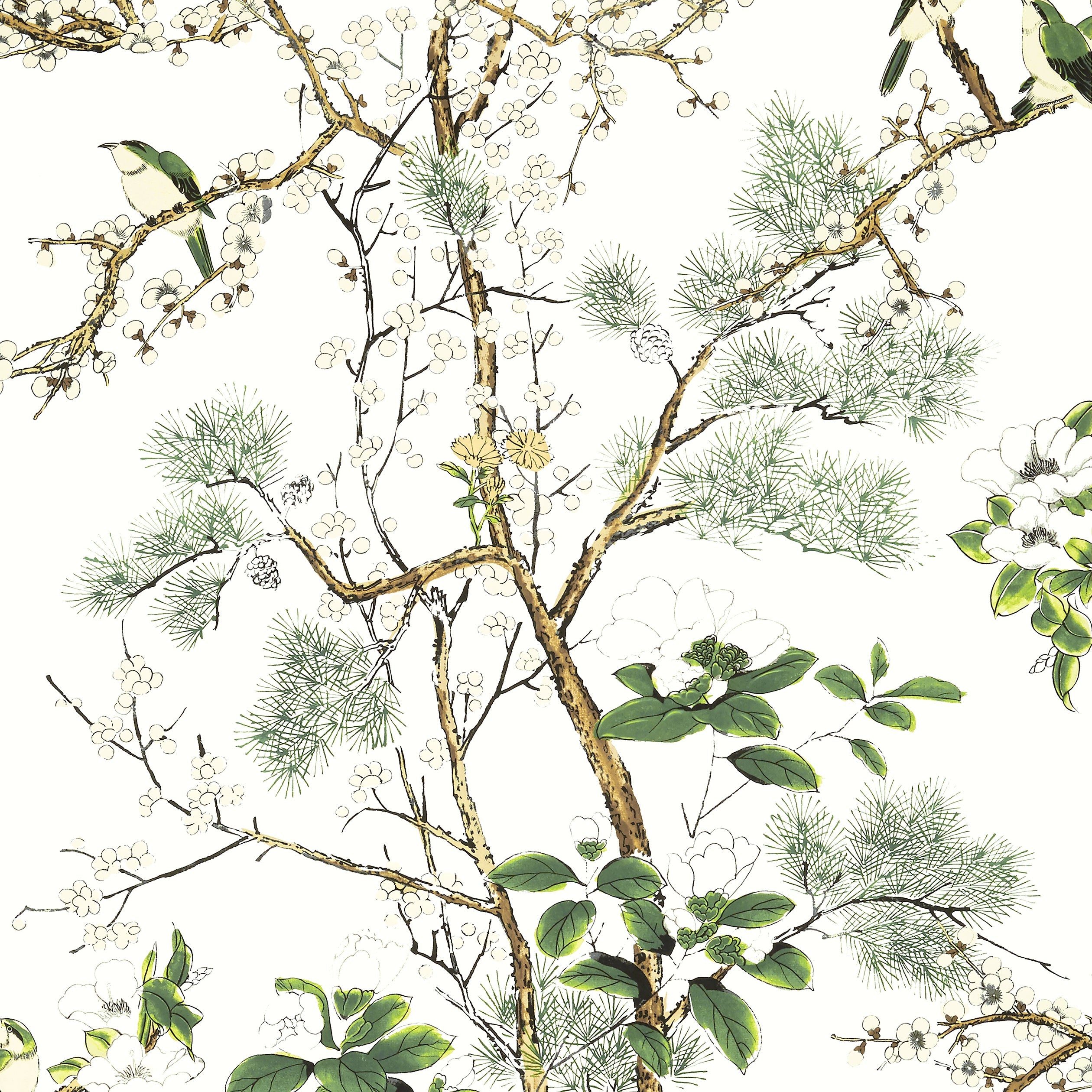 KATSURA - Green and White