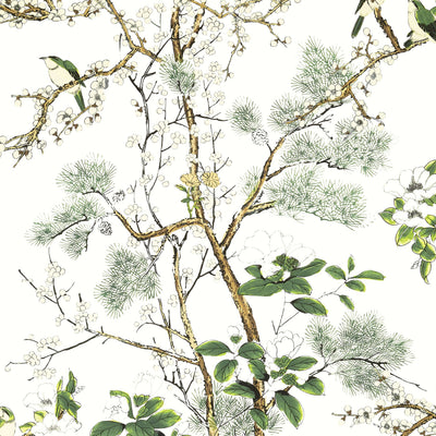 KATSURA - Green and White