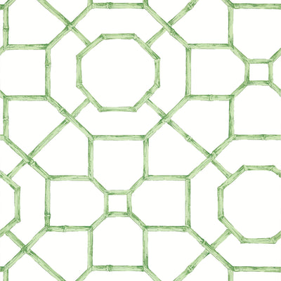 ARBOR - Green