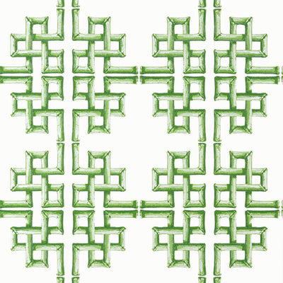 BOCA BAMBOO - Green