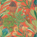 PROTEA - Coral