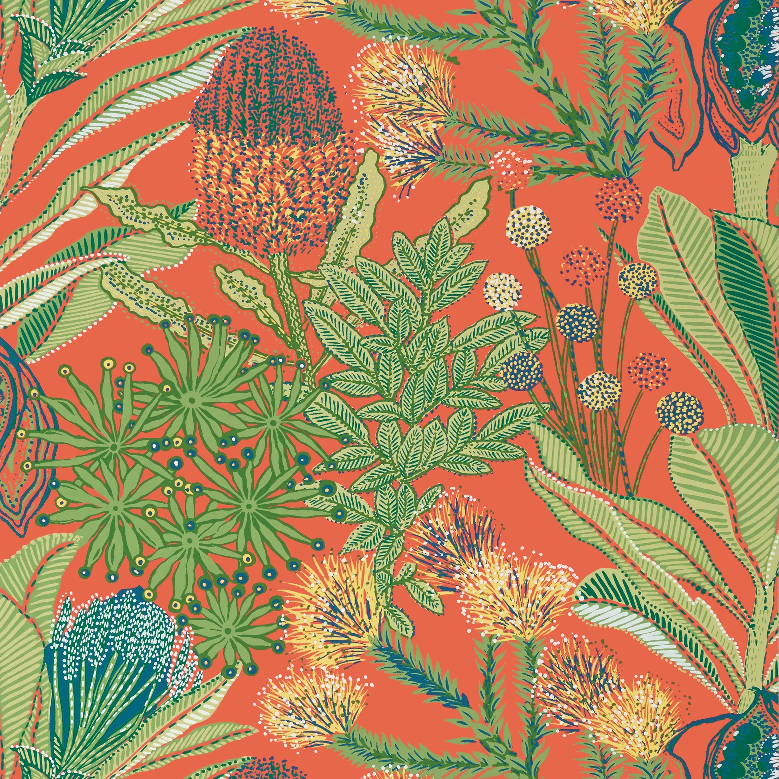 PROTEA - Coral