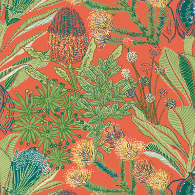 PROTEA - Coral
