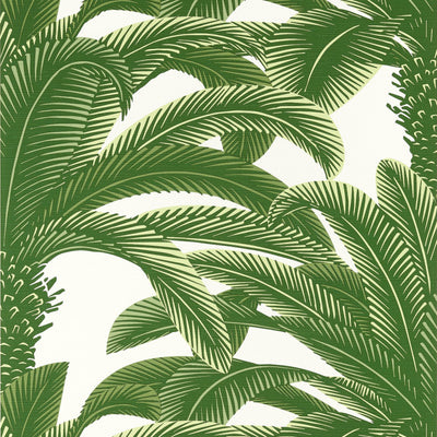 QUEEN PALM - Green