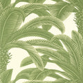 QUEEN PALM - Sage