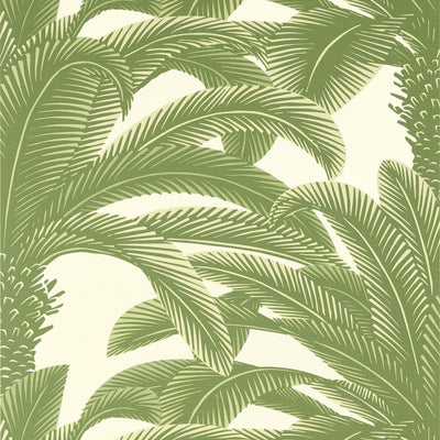 QUEEN PALM - Sage