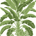 BANANA TREE - Green
