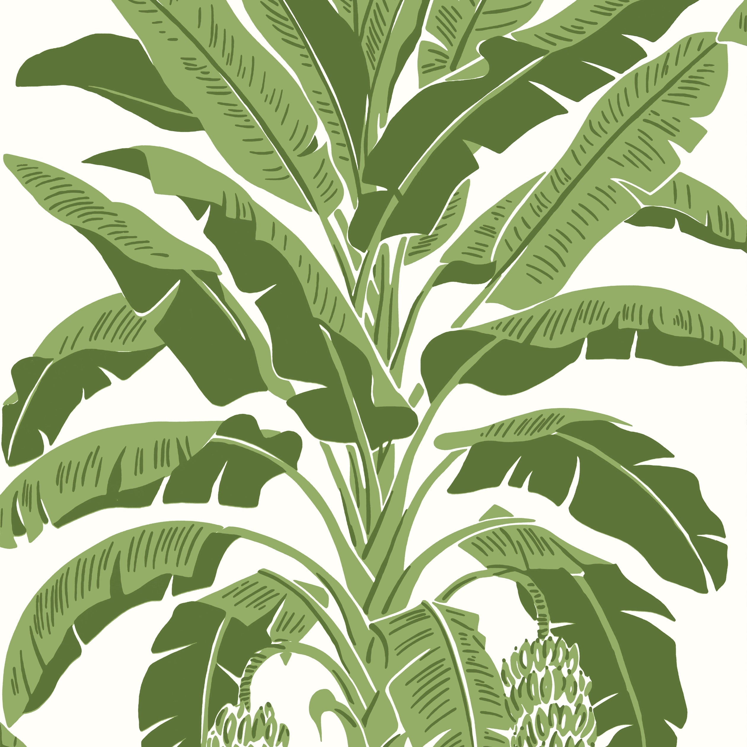 BANANA TREE - Green