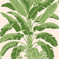 BANANA TREE - Pink and Green