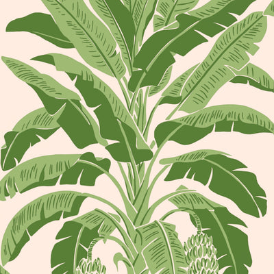 BANANA TREE - Pink and Green
