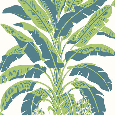 BANANA TREE - Green and Blue