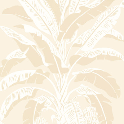 BANANA TREE - Beige