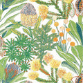 PROTEA - Brights