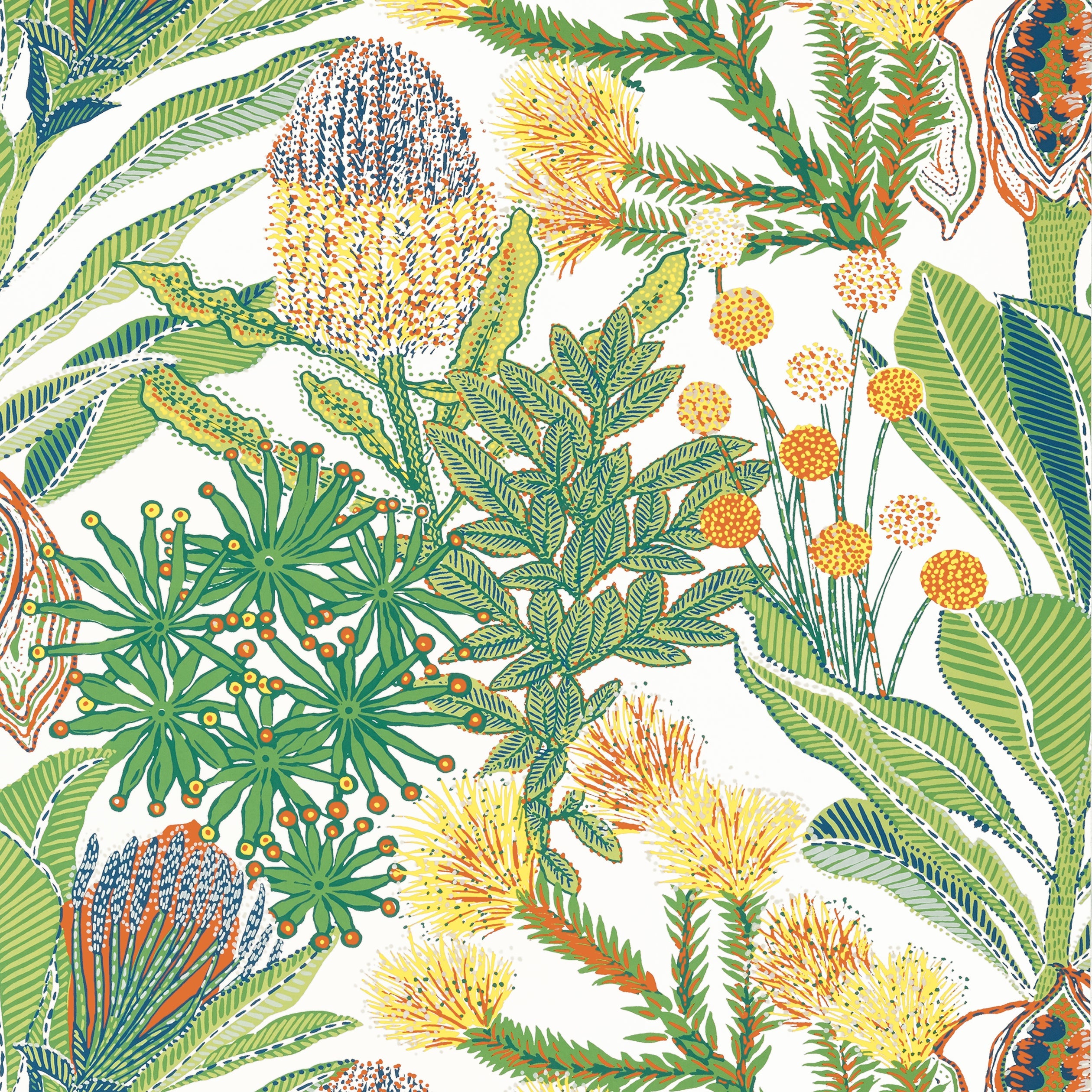 PROTEA - Brights