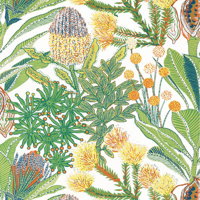 PROTEA - Brights