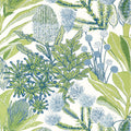 PROTEA - Green and Blue