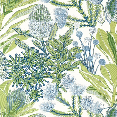 PROTEA - Green and Blue