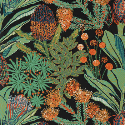 PROTEA - Black